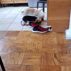 Meet your Posher, Nancy